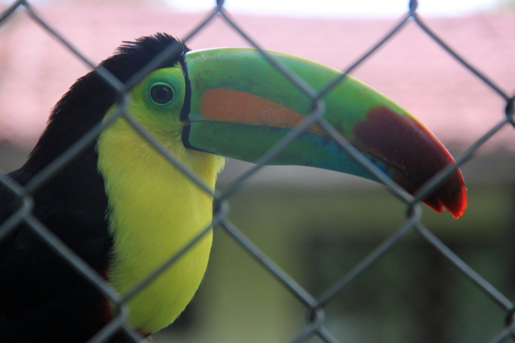 Costa Rica